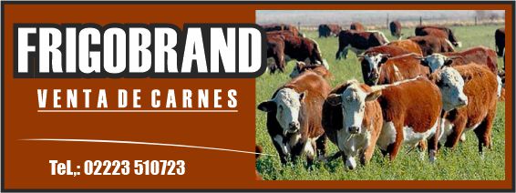 Las Mandarinas, Brandsen, Atlético y Progreso, Estrella de Jeppener, Defensores de Domselaar, Liga Metropolitana San Vicente