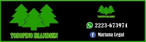 Boxeo, Brandsen, Boxeo de Primera, Sol Baumstarh, Belén Valdebenito, Carmen de Areco, Latigo Coggi, Latigo Box, Club Social, Tyc Sports, Tyc Sports Play, FAB