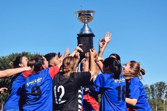 Las Mandarinas, Brandsen, Atlético y Progreso, Estrella de Jeppener, Defensores de Domselaar, Liga Metropolitana San Vicente