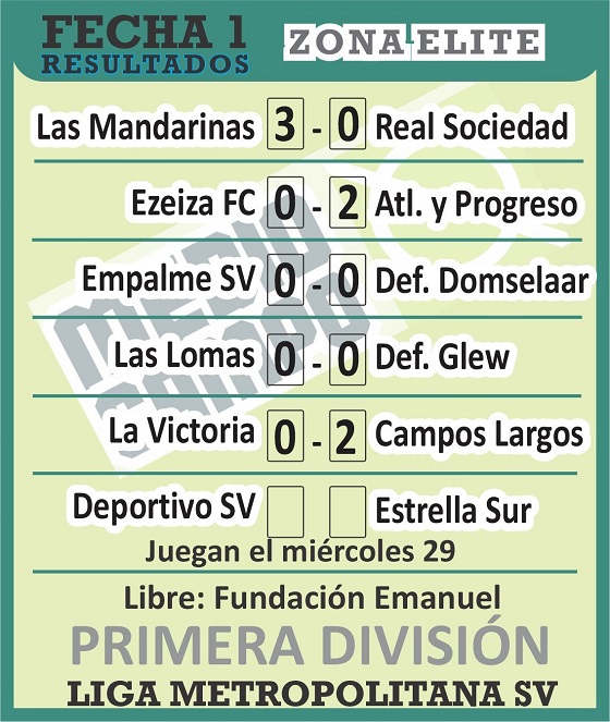 Las Mandarinas, Brandsen, Atlético y Progreso, Estrella de Jeppener, Defensores de Domselaar, Liga Metropolitana San Vicente