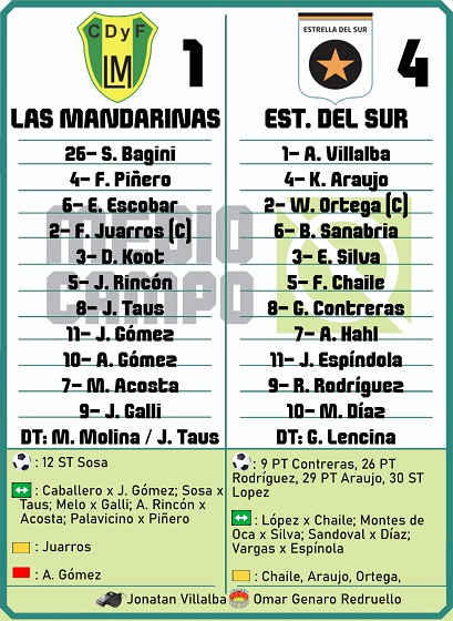 Las Mandarinas, Brandsen, Atlético y Progreso, Estrella de Jeppener, Defensores de Domselaar, Liga Metropolitana San Vicente