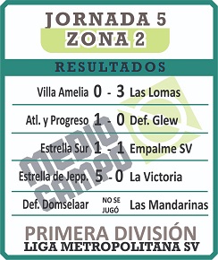 Las Mandarinas, Brandsen, Atlético y Progreso, Estrella de Jeppener, Defensores de Domselaar, Liga Metropolitana San Vicente