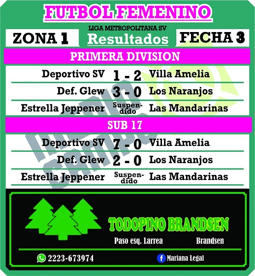 Las Mandarinas, Brandsen, Atlético y Progreso, Estrella de Jeppener, Defensores de Domselaar, Liga Metropolitana San Vicente