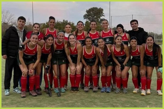  Handball Las Mandarinas, Liga Municipal de Avellaneda, Claridad, Proyecto Nacional