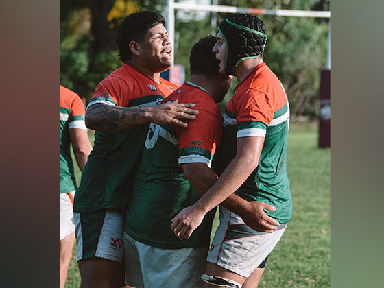 Las Mandarinas, Brandsen, Atlético y Progreso, Estrella de Jeppener, Defensores de Domselaar, Liga Metropolitana San Vicente